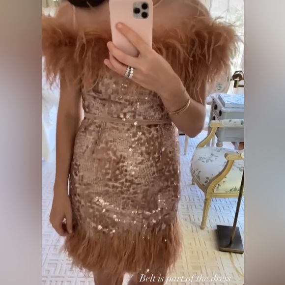 Antonio Melani x Nicola Bathie Rose Gold Sequin Feather Emelia Dress Sz2 NEW - Picture 3 of 13